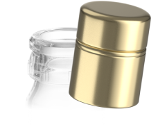 Ковпачок гуала